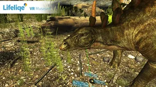 Скриншот 5 к игре Lifeliqe VR Museum