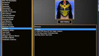 Скриншот 5 к игре Total Extreme Wrestling 2013
