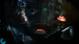 Скриншот 5 к игре CAYNE