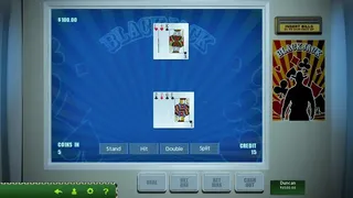 Скриншот 4 к игре Hoyle Official Casino Games