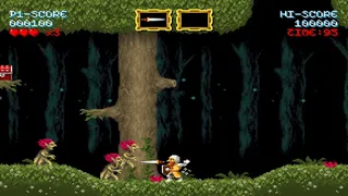 Скриншот 1 к игре Cursed Castilla (Maldita Castilla EX)
