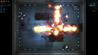 Скриншот 2 к игре Feral Fury