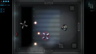 Скриншот 7 к игре Feral Fury