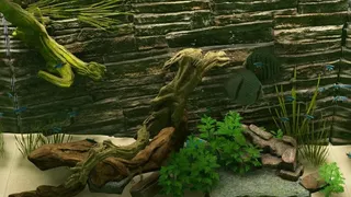 Скриншот 2 к игре Biotope
