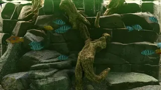 Скриншот 3 к игре Biotope