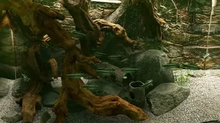 Скриншот 4 к игре Biotope