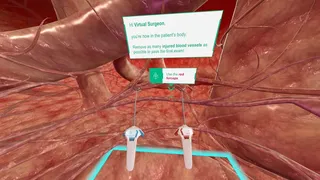 Скриншот 3 к игре B. Braun Future Operating Room