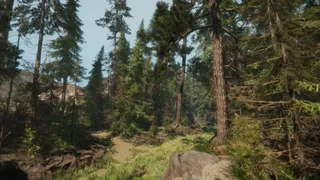 Скриншот 3 к игре A Walk in the Woods