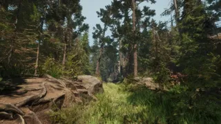 Скриншот 4 к игре A Walk in the Woods