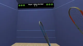 Скриншот 5 к игре VR Squash 2017