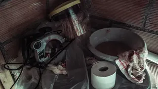 Скриншот 8 к игре The Fan