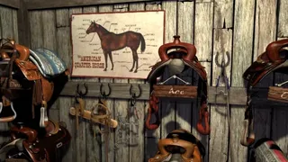 Скриншот 3 к игре Nancy Drew: The Secret of Shadow Ranch