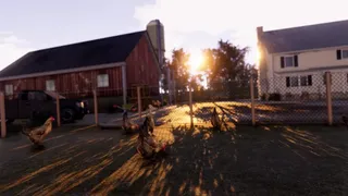 Скриншот 4 к игре Real Farm - Gold Edition