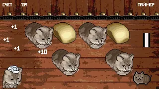 Скриншот 1 к игре Cat or Bread?