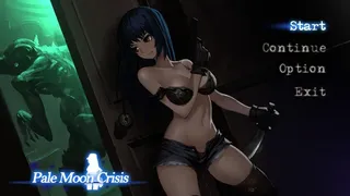 Скриншот 1 к игре Pale Moon Crisis
