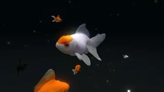 Скриншот 1 к игре VR Aquarium -雅-