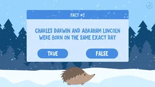 Скриншот 3 к игре True or False 2