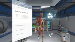 Скриншот 2 к игре The Physiology of the Eye
