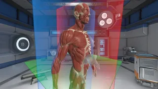 Скриншот 4 к игре The Physiology of the Eye