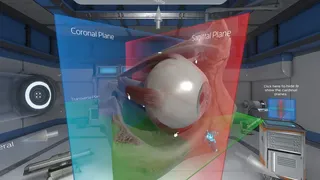 Скриншот 5 к игре The Physiology of the Eye