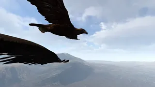 Скриншот 5 к игре Aquila Bird Flight Simulator