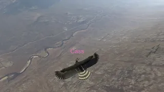 Скриншот 8 к игре Aquila Bird Flight Simulator