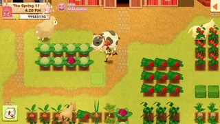 Скриншот 1 к игре Harvest Moon: Light of Hope Special Edition