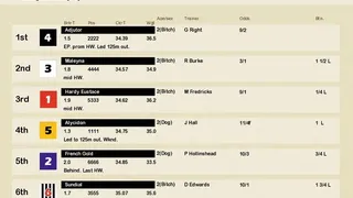Скриншот 7 к игре Greyhound Manager 2 Rebooted