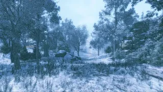 Скриншот 8 к игре Nature Treks VR