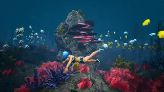 Скриншот 3 к игре Capsa