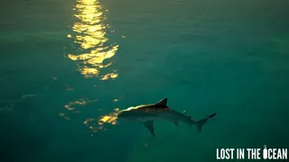 Скриншот 3 к игре Lost in the Ocean VR