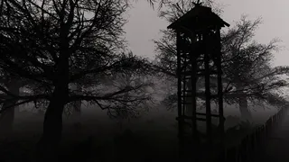 Скриншот 7 к игре Hide and Seek