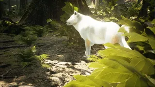 Скриншот 5 к игре Survivalizm - The Animal Simulator