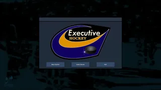 Скриншот 4 к игре Executive Hockey