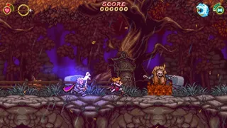 Скриншот 8 к игре Battle Princess Madelyn