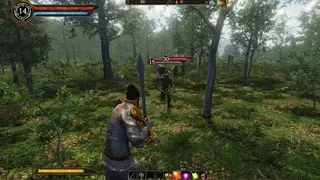 Скриншот 1 к игре Legends of Ellaria