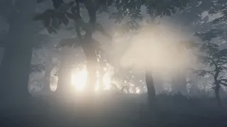 Скриншот 4 к игре THORNYWAY