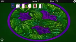 Скриншот 2 к игре Interplay Solitaire