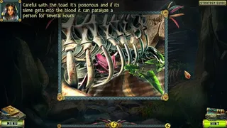 Скриншот 7 к игре The Legacy: Forgotten Gates Collector's Edition