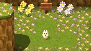 Скриншот 7 к игре Chicken Labyrinth Puzzles