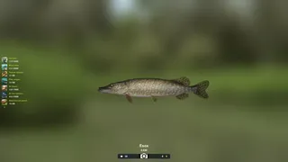 Скриншот 4 к игре Trophy Fishing 2