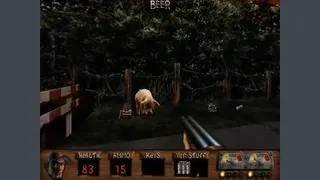 Скриншот 5 к игре Redneck Rampage: Possum Bayou