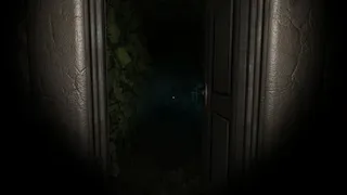 Скриншот 1 к игре Edge of Insanity
