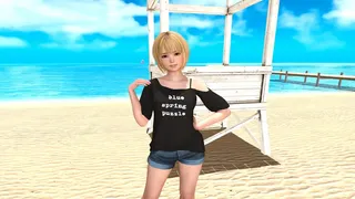 Скриншот 1 к игре SUMMER VACATION