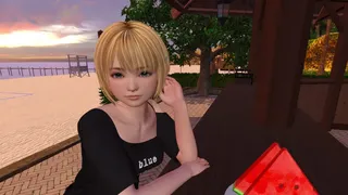 Скриншот 5 к игре SUMMER VACATION