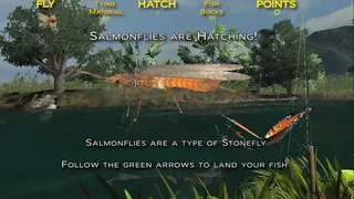 Скриншот 1 к игре Fishing on the Fly