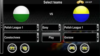 Скриншот 4 к игре Speedway Challenge League