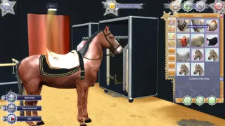 Скриншот 7 к игре EquiMagic - Galashow of Horses