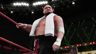 Скриншот 4 к игре WWE 2K18