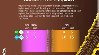 Скриншот 2 к игре Against the Gradient